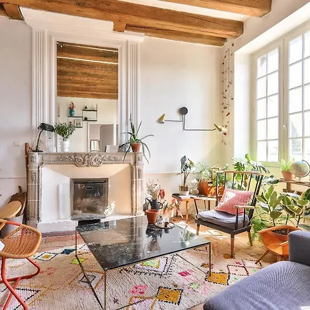 Large In The Heart Of Apartment Nantes